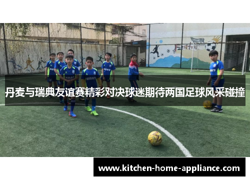 丹麦与瑞典友谊赛精彩对决球迷期待两国足球风采碰撞