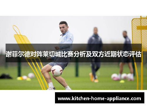 谢菲尔德对阵莱切城比赛分析及双方近期状态评估